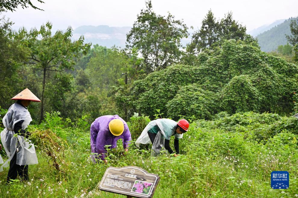 威尼斯888电子游戏下载